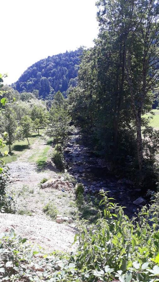 Les Locations De Stephanie ,Gite Le Verger Sondernach Екстериор снимка