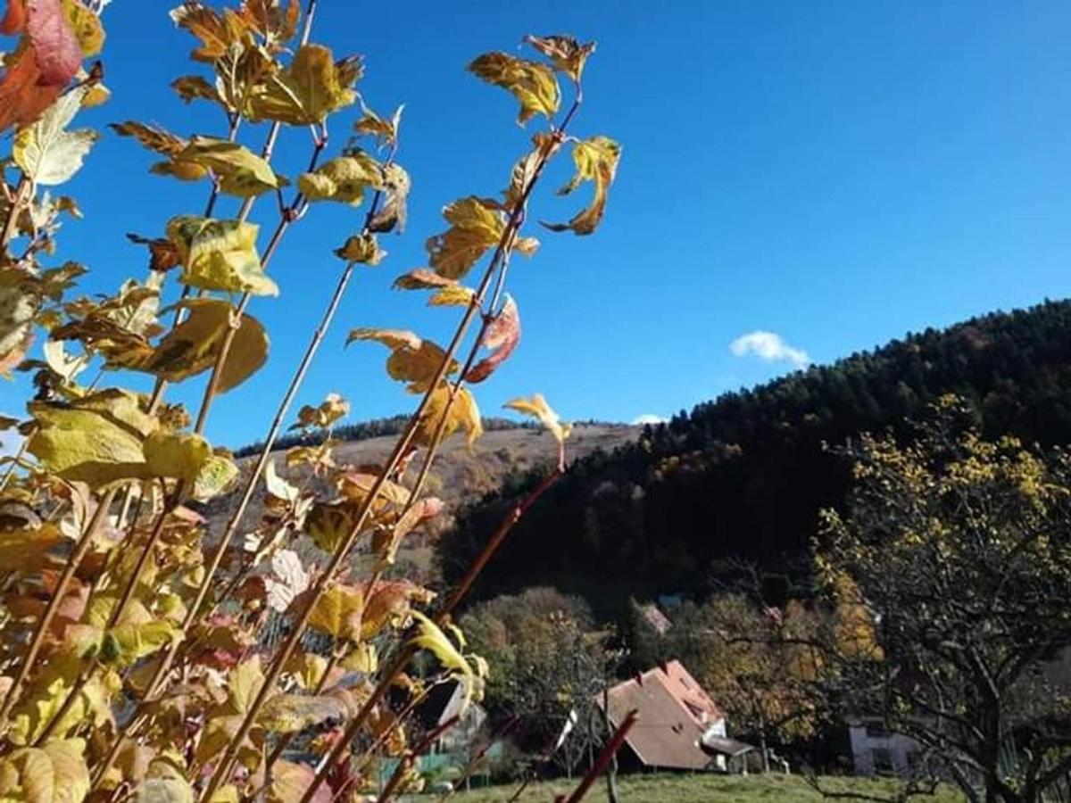 Les Locations De Stephanie ,Gite Le Verger Sondernach Екстериор снимка