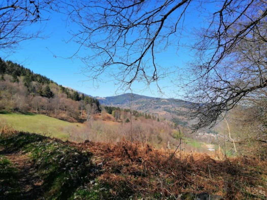 Les Locations De Stephanie ,Gite Le Verger Sondernach Екстериор снимка