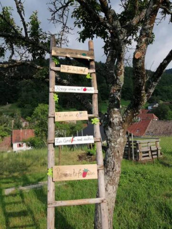Les Locations De Stephanie ,Gite Le Verger Sondernach Екстериор снимка